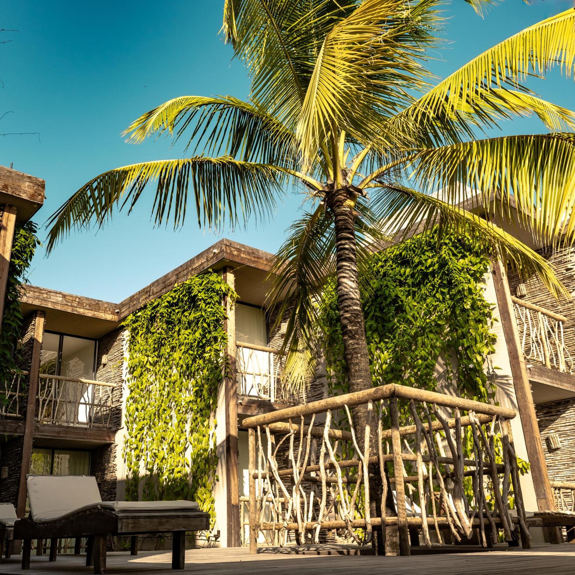 ז'יז'וקה דה ז'ריקואקוארה Apenunga Eco Hotel מראה חיצוני תמונה